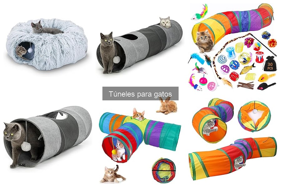 Cómo Elegir el Mejor Túnel para Gatos: Guía Completa