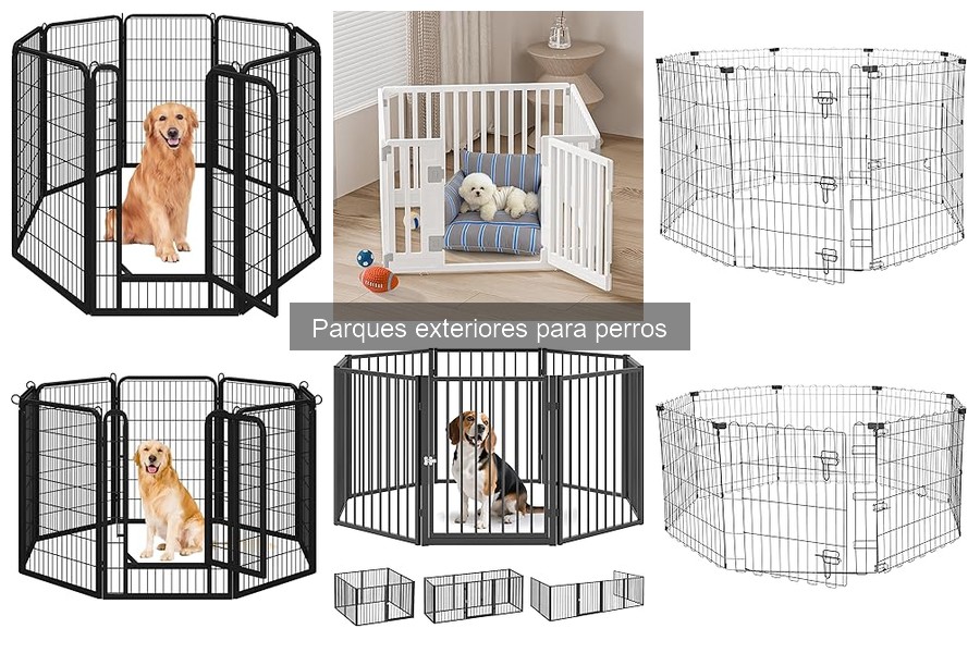 Cómo elegir el parque exterior ideal para tu perro