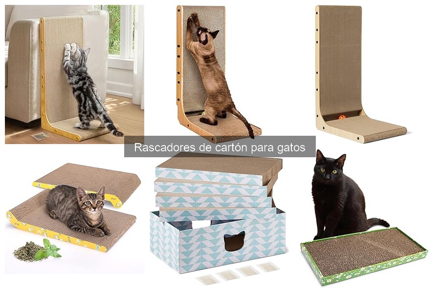 ** Cómo elegir el rascador de cartón ideal para tu gato
