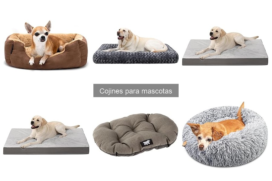 Cómo elegir el tamaño adecuado de cojines para mascotas