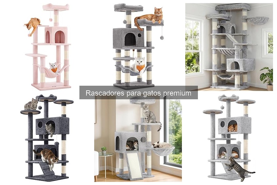 Cómo elegir el tamaño adecuado de rascador para tu gato