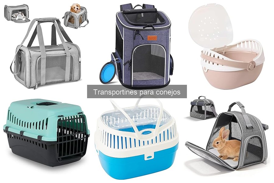 Cómo Elegir el Tamaño Perfecto de Transportín para Conejos