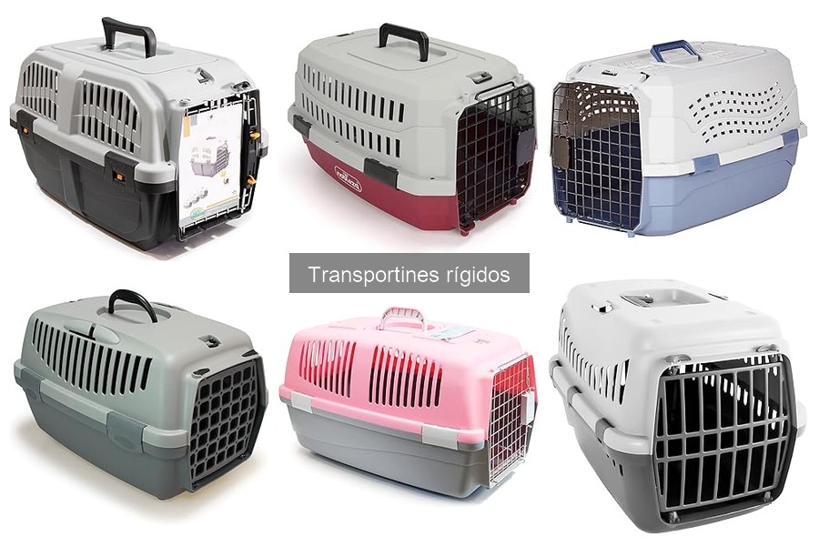 Cómo elegir el transportín rígido perfecto para tu mascota
