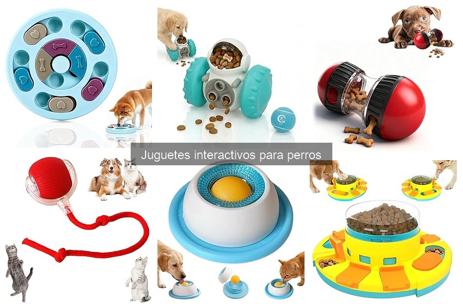 Cómo Elegir Juguetes Interactivos para Perros Efectivos