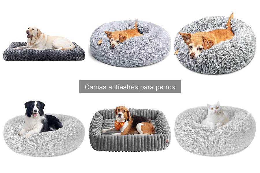 Cómo elegir la cama antiestrés ideal para tu perro