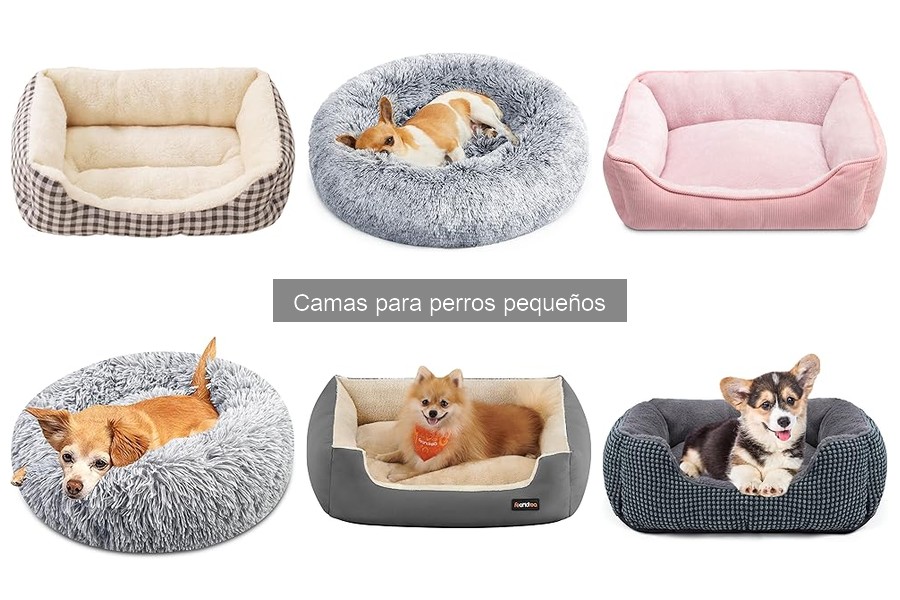 Cómo elegir la cama ideal para perros pequeños