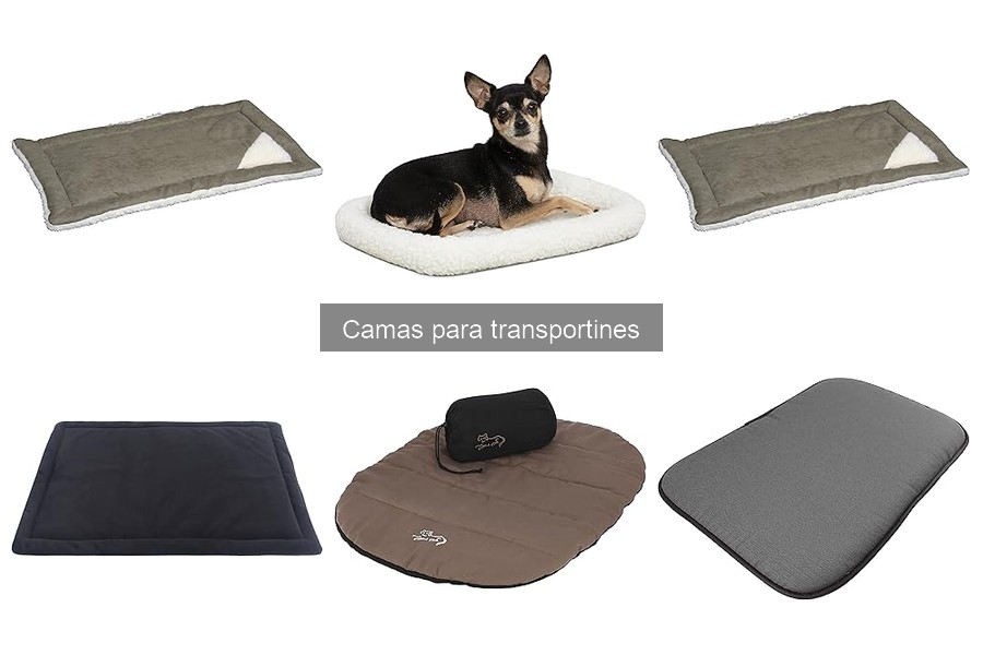 Cómo elegir la cama ideal para transportines de mascotas