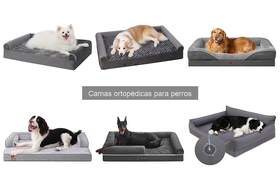 Cómo elegir la cama ortopédica adecuada para tu perro