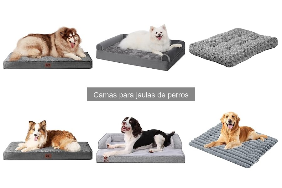 Cómo elegir la cama perfecta para la jaula de tu perro