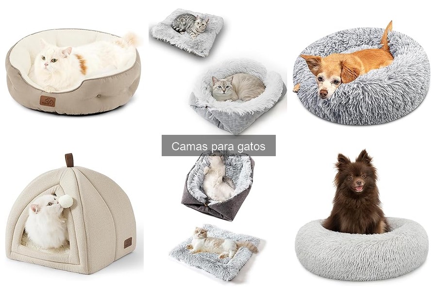 Cómo elegir la cama perfecta para tu gato: guía de compra
