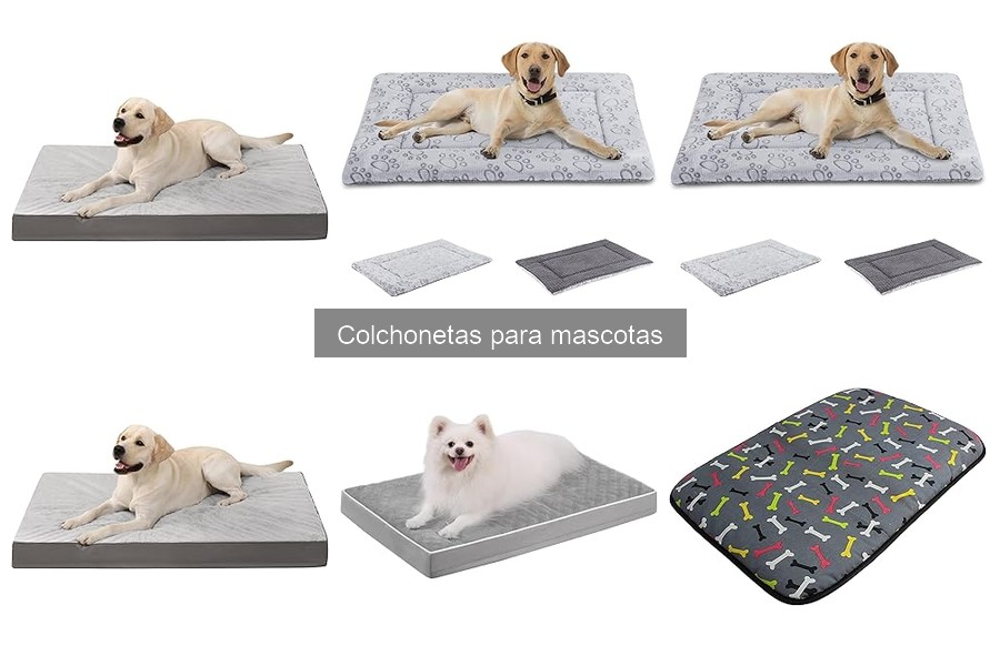 Cómo Elegir la Colchoneta Perfecta para Tu Mascota