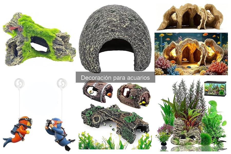 Cómo elegir la decoración de acuarios según el tipo de pez