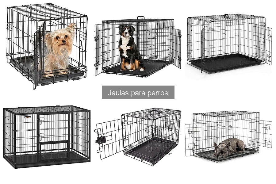Cómo elegir la jaula adecuada para tu perro: guía completa