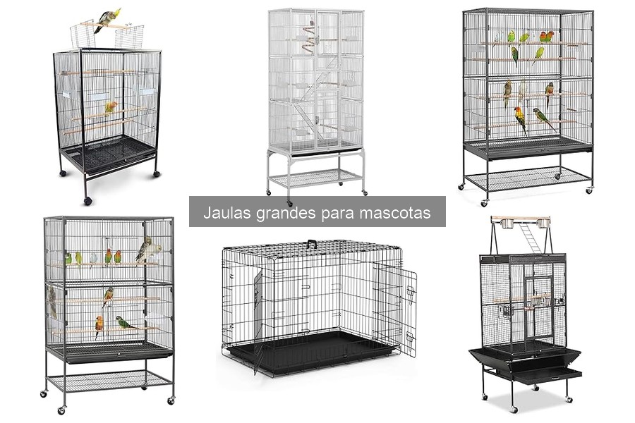 Cómo elegir la jaula grande perfecta para tu mascota