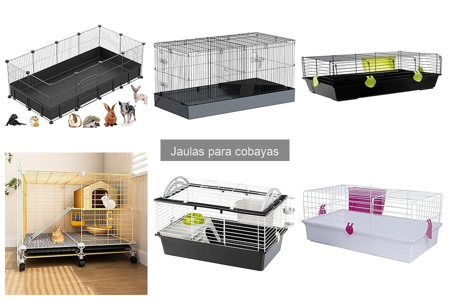 Cómo elegir la jaula ideal para tus cobayas