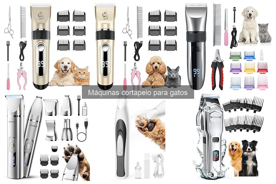 Cómo elegir la máquina cortapelo ideal para tu gato