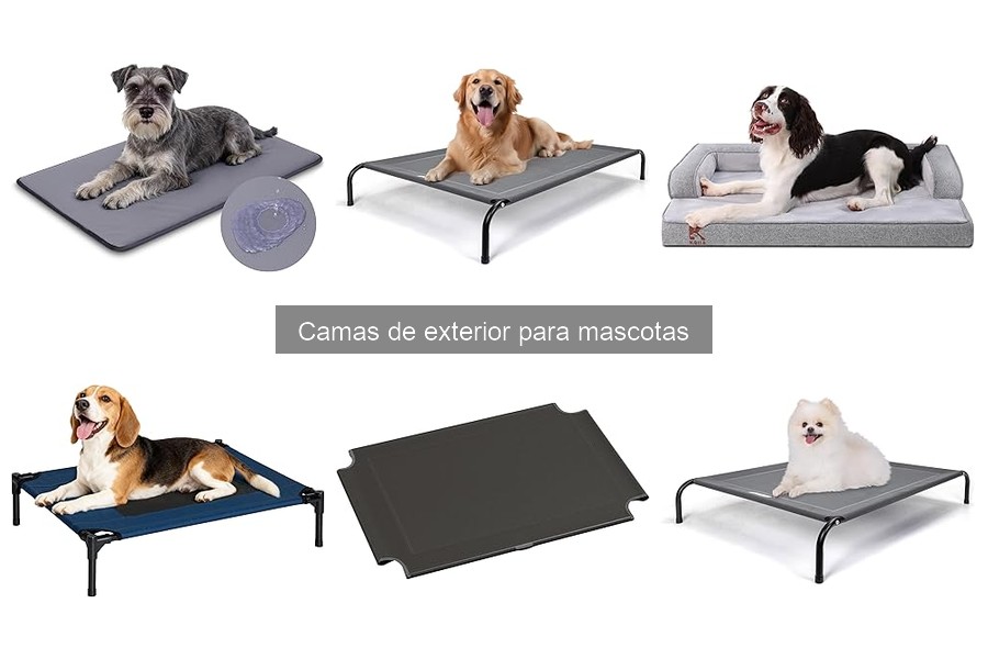 Cómo elegir la mejor cama de exterior para mascotas