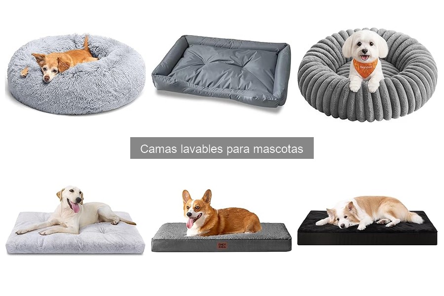 Cómo Elegir la Mejor Cama Lavable para Gatos