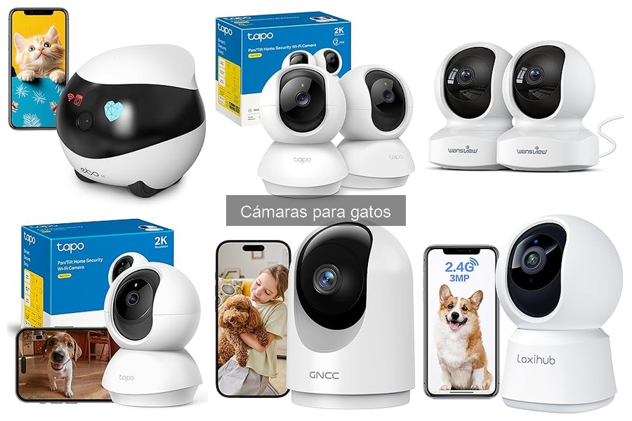 Cómo elegir la mejor cámara para gatos: guía de compra
