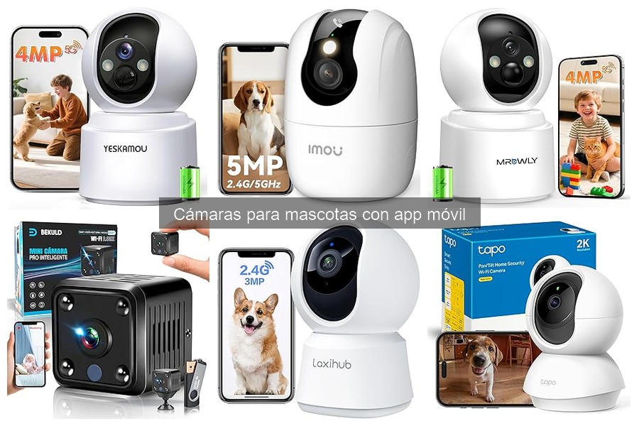Cómo elegir la mejor cámara para mascotas con app móvil