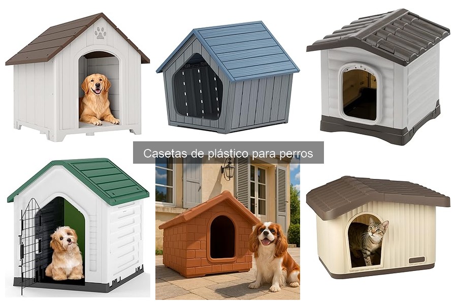 Cómo Elegir la Mejor Caseta de Plástico para tu Perro