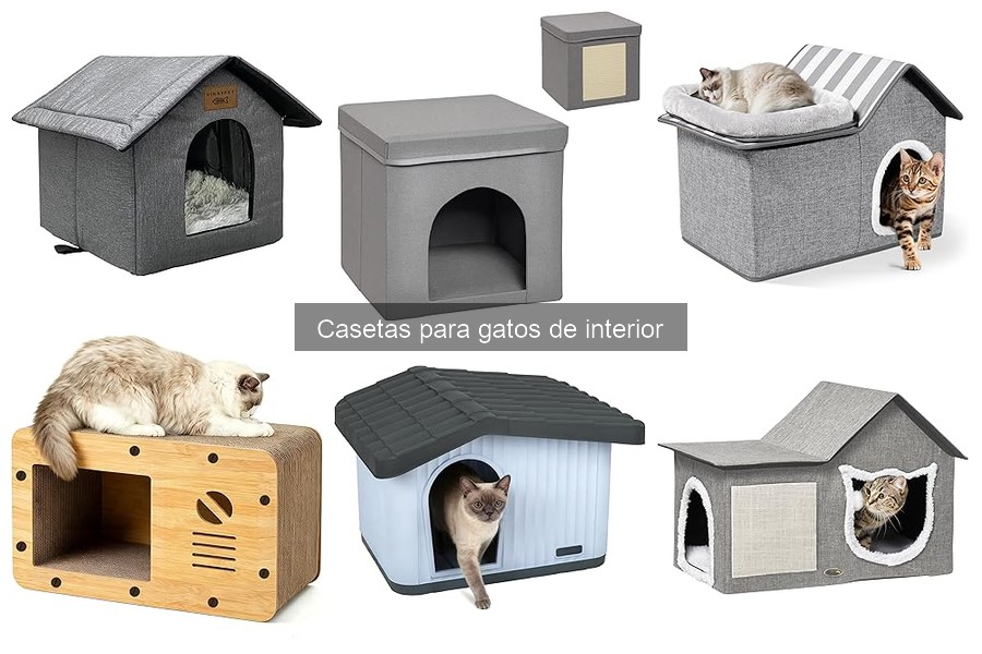 Cómo elegir la mejor caseta para gatos de interior
