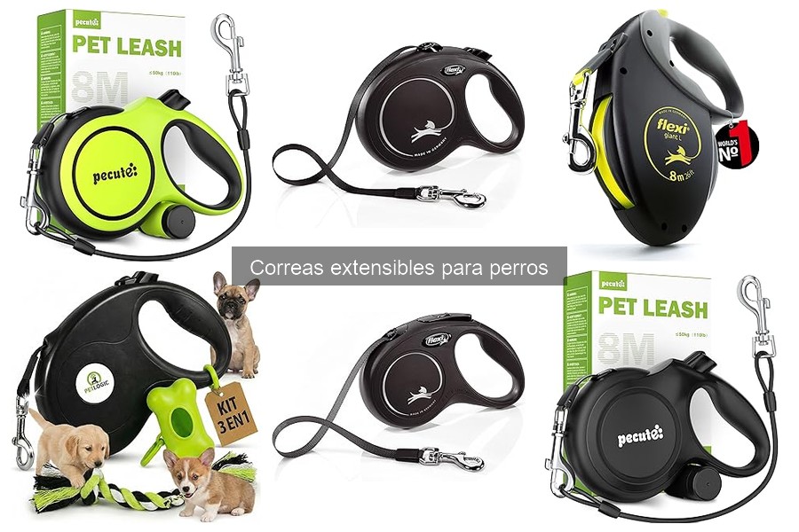 Cómo elegir la mejor correa extensible para tu perro