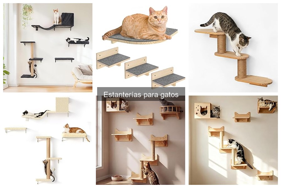 Cómo Elegir la Mejor Estantería para Gatos: Guía de Compra