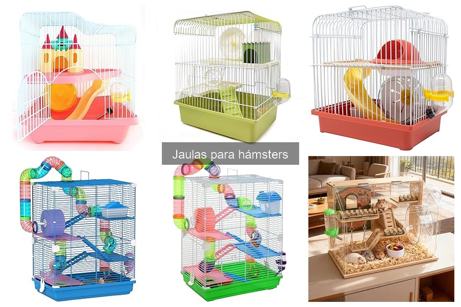 Cómo elegir la mejor jaula para hámsters: Guía de compra
