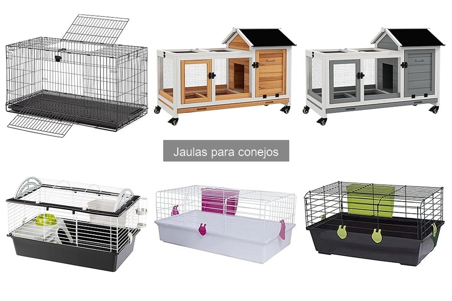 Cómo elegir la mejor jaula para tu conejo: Guía completa