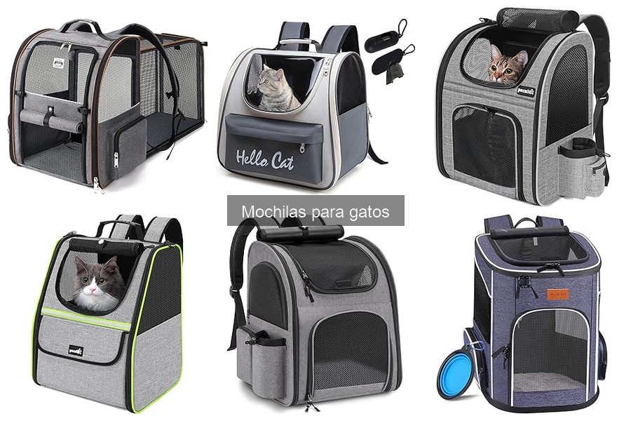 Cómo elegir la mejor mochila para gatos: guía completa