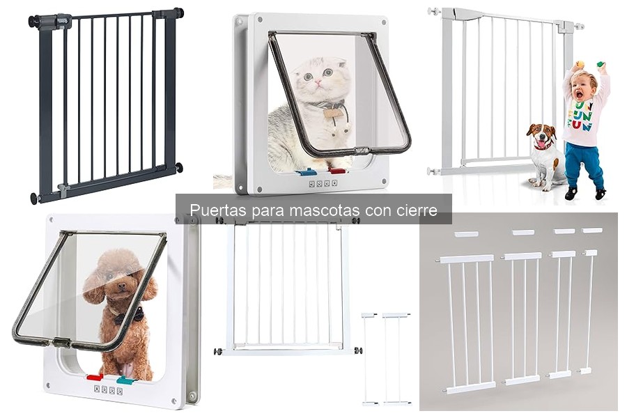 Cómo elegir la mejor puerta para mascotas con cierre