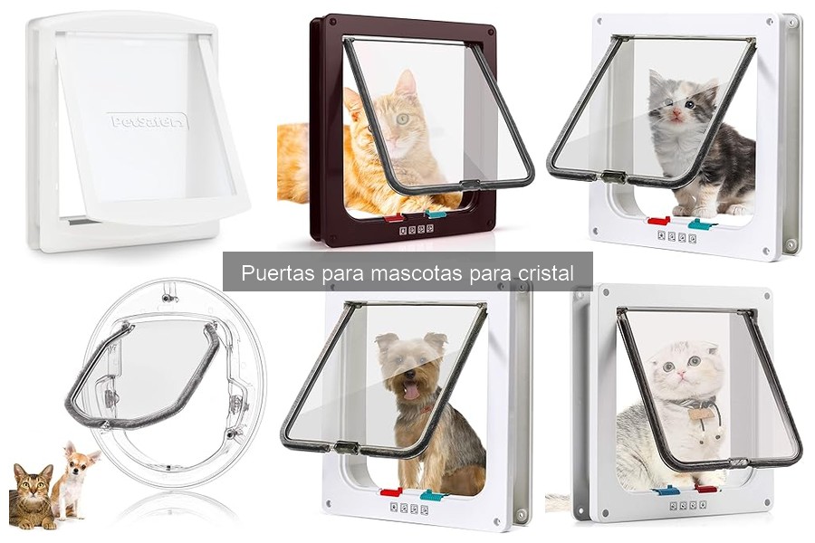 Cómo elegir la mejor puerta para mascotas de cristal