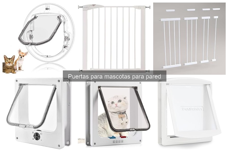Cómo elegir la mejor puerta para mascotas según la raza
