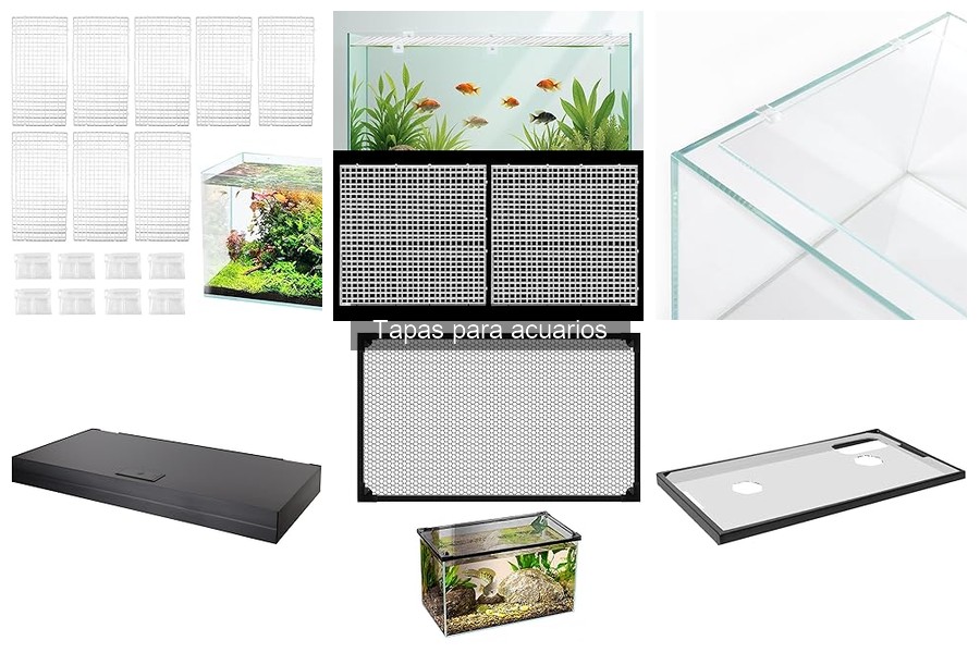 Cómo Elegir la Mejor Tapa para Tu Acuario: Guía de Compra