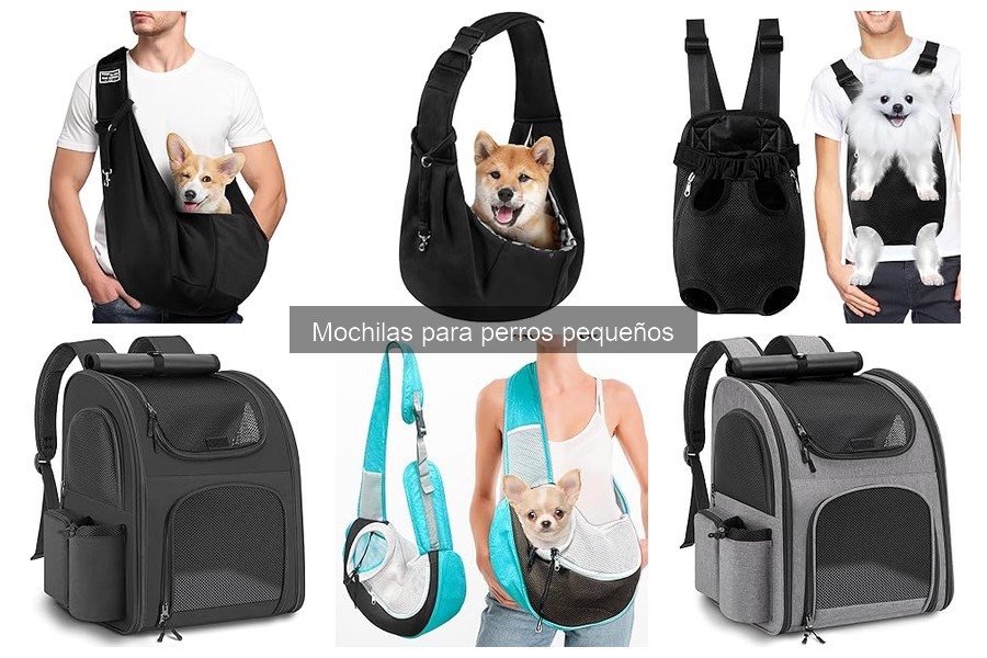Cómo Elegir la Mochila Ideal para Perros Pequeños