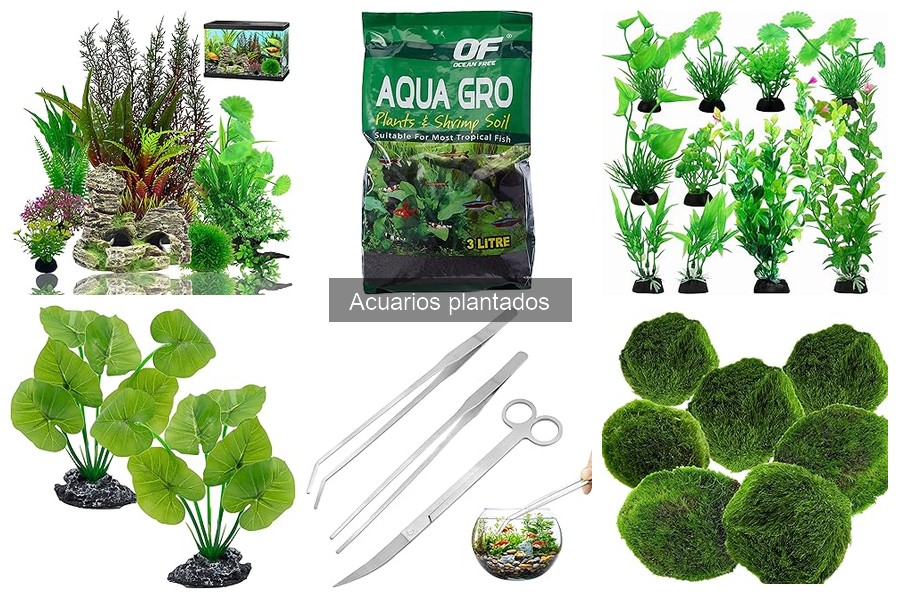 Cómo elegir plantas para acuarios plantados | Guía práctica