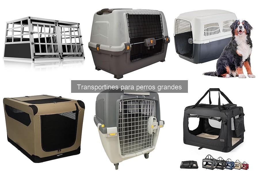Cómo elegir un transportín para perros grandes en viajes
