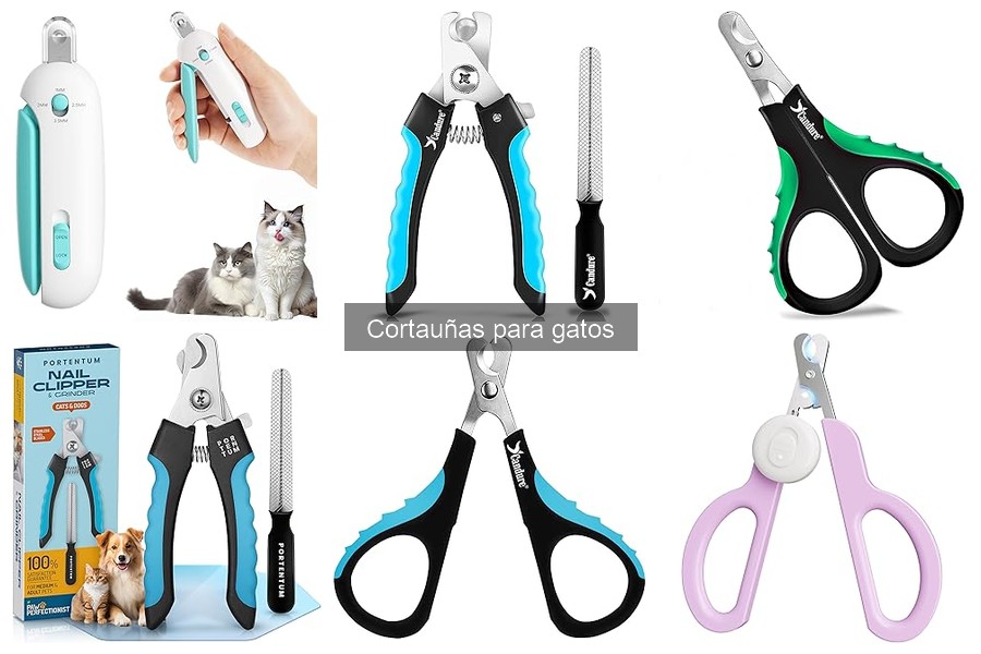 Cómo enseñar a tu gato a aceptar el corte de uñas