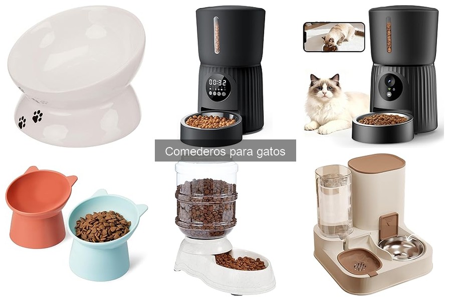 Cómo enseñar a tu gato a usar un comedero automático