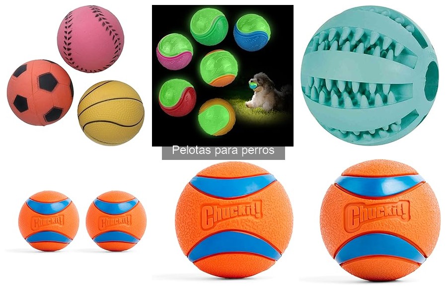 Cómo enseñar a tu perro a jugar con pelotas correctamente