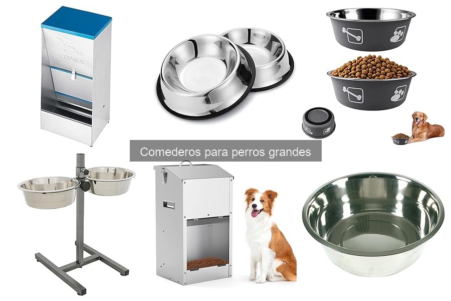 Cómo entrenar a tu perro grande a usar su nuevo comedero
