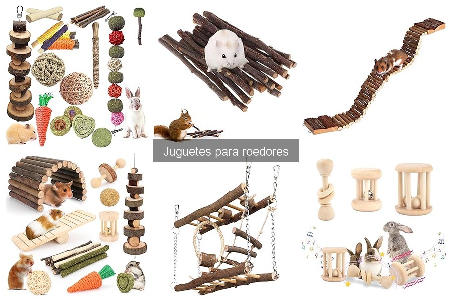 Cómo Entretener a tu Roedor con Juguetes Efectivos