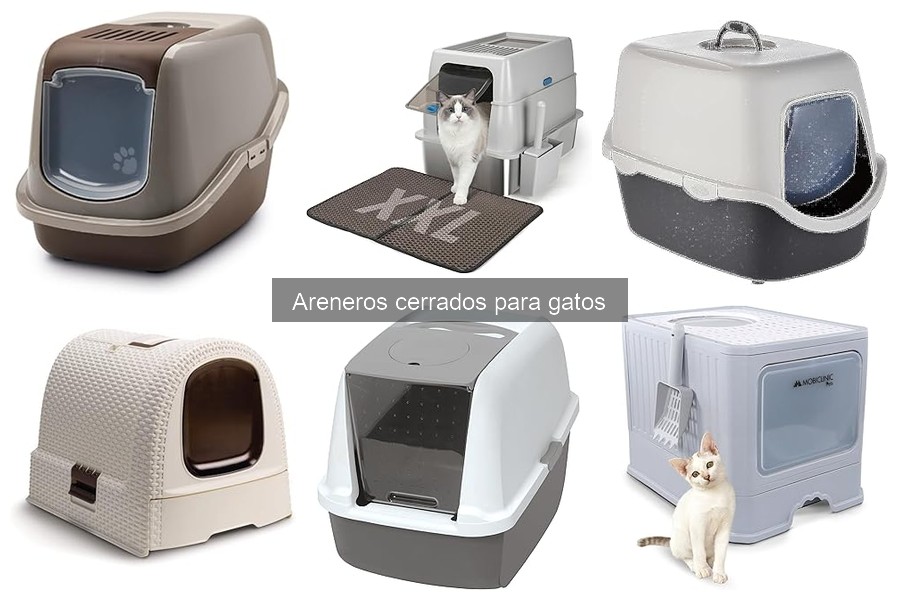 Cómo evitar olores en areneros cerrados para gatos