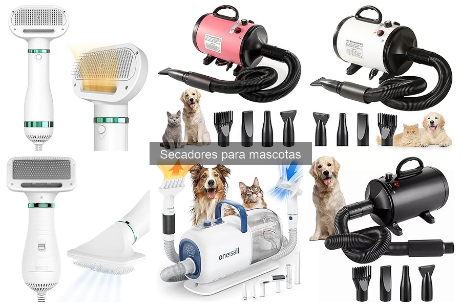 Cómo Familiarizar a tu Mascota con el Secador de Pelo