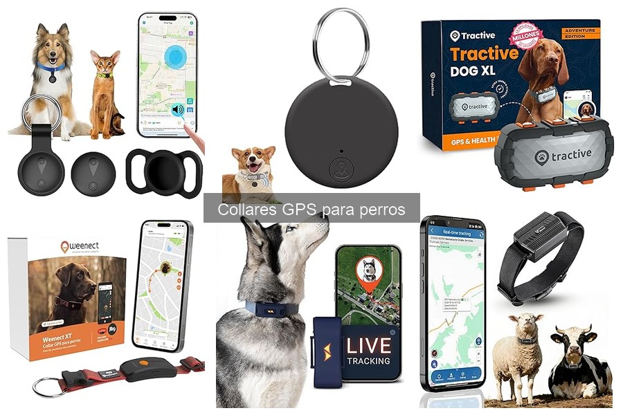 Cómo Funcionan los Collares GPS para Perros: Guía Explicativa