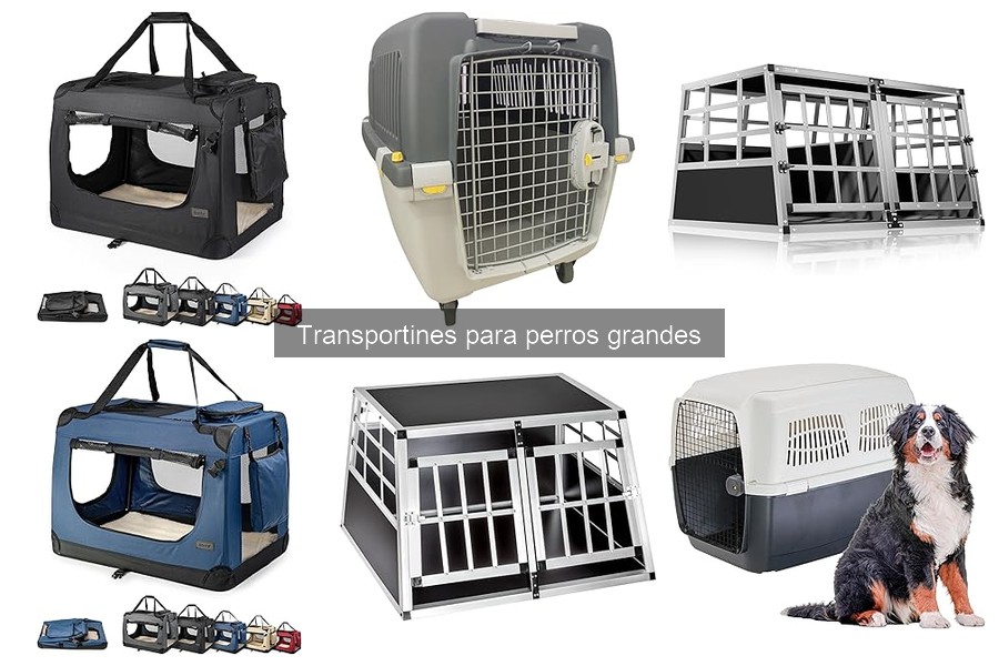 Cómo hacer que tu perro grande entre en el transportín