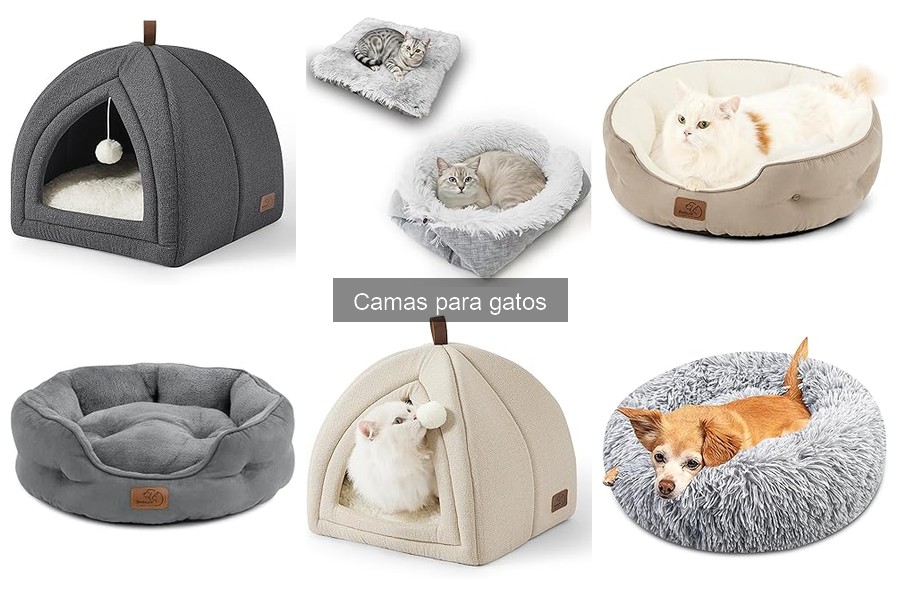 Cómo Hacer una Cama para Gatos DIY en Casa