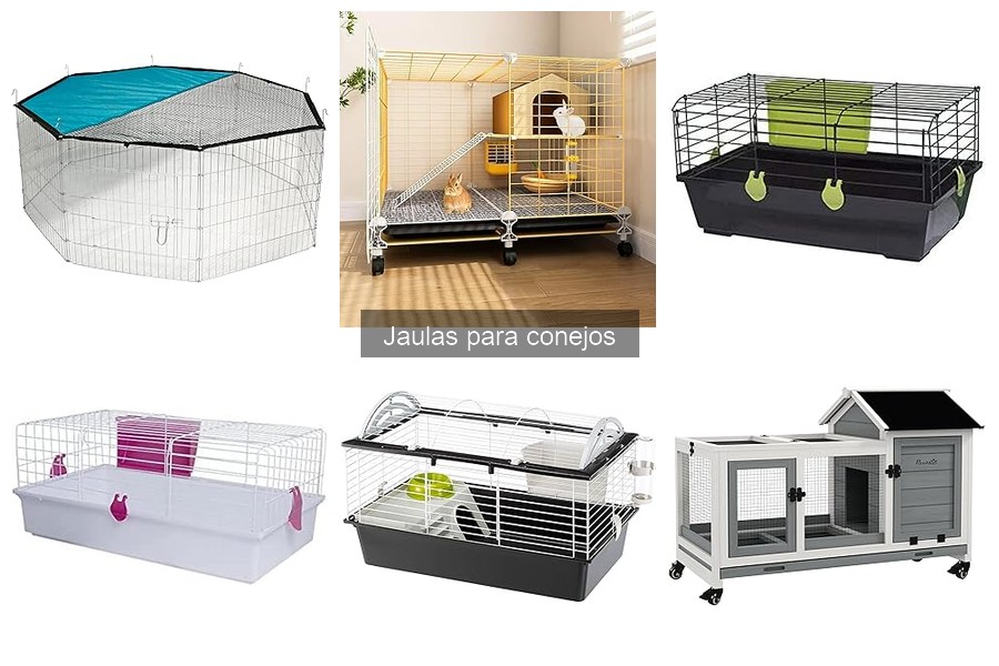 Cómo hacer una jaula para conejos DIY: Guía sencilla