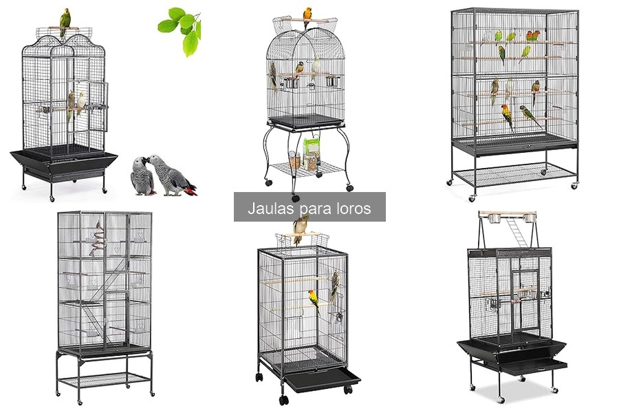 Cómo instalar correctamente una jaula para loros